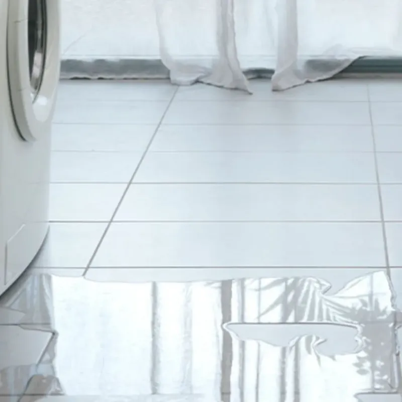 Appliance Leak Cleanup in Walled Lake, MI