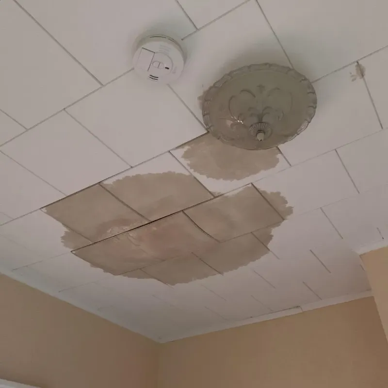 Ceiling Water Damage Repair in Walled Lake, MI