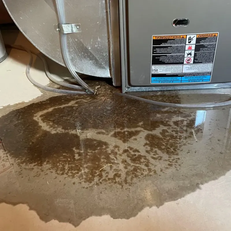 Pipe Burst and Leak Restoration in Walled Lake, MI